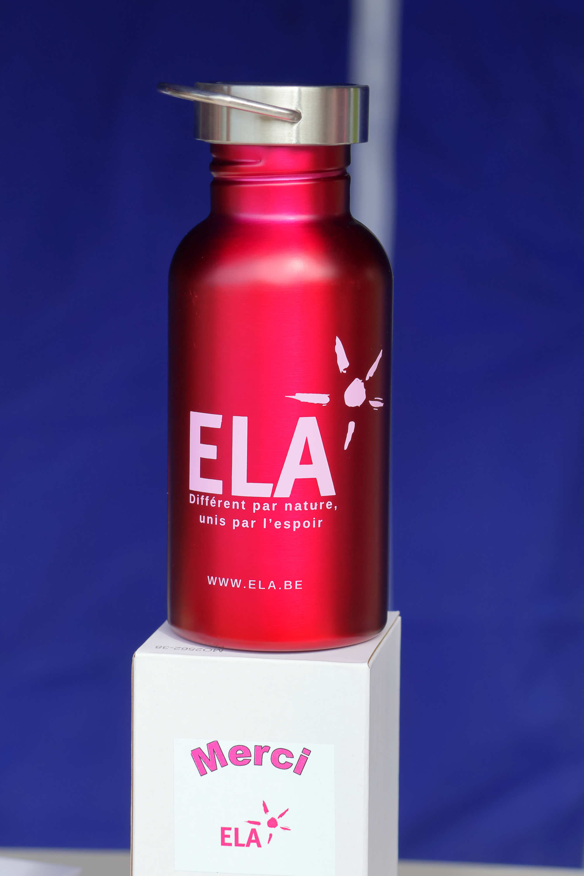 Thermosflasche 18€
